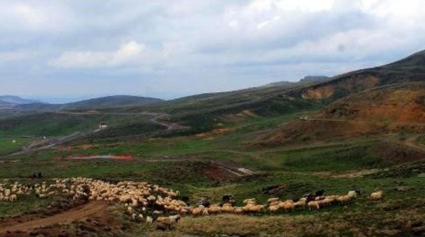 Erciyes'e G&ouml;&ccedil; Başladı