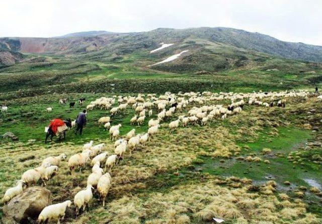 Erciyes'e Göç Başladı