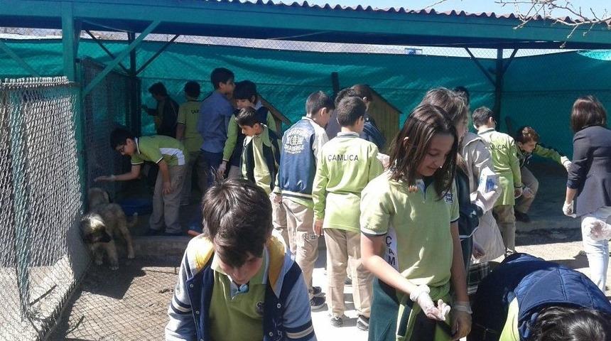 &Ouml;ğrencilere Uygulamalı Hayvan Bakımı