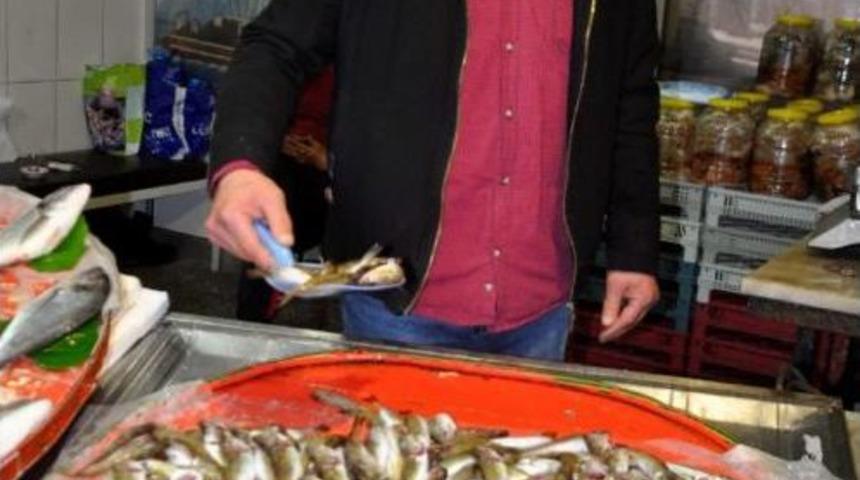 Olta Mezgiti 20 Liradan Satılıyor