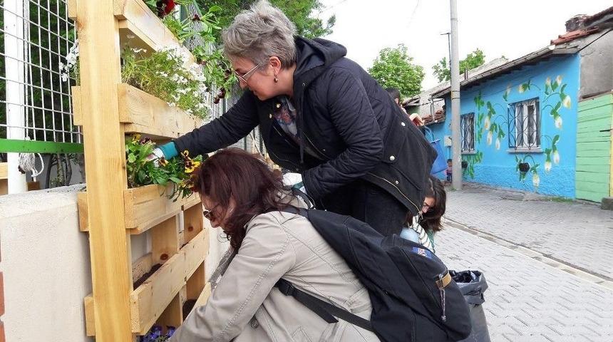 Saksılara &Ccedil;i&ccedil;ek Ve Sebze Diktiler