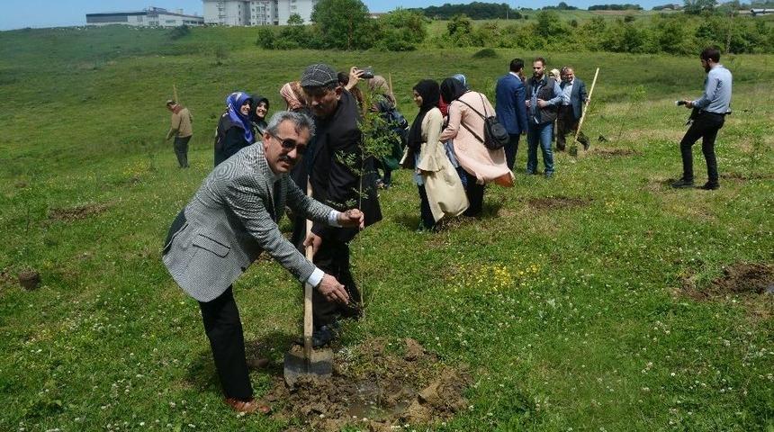 249 Şehidin Anısına 249 Fidan Dikildi