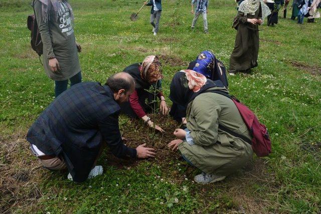 249 Şehidin Anısına 249 Fidan Dikildi