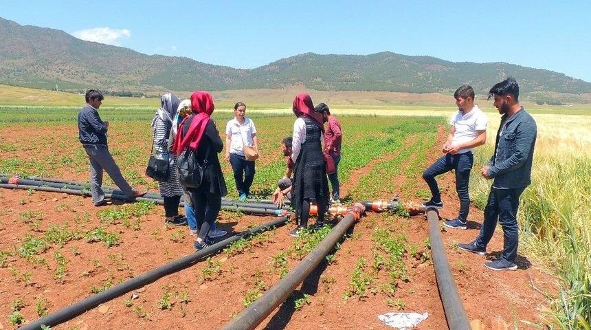 İslahiye Myo Organik Tarım Programı &Ouml;ğrencileri Sahada