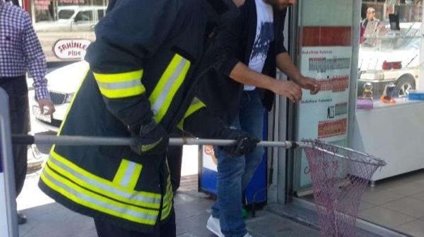 Asans&ouml;r Boşluğuna Giren Kediyi Itfaiye Kurtardı