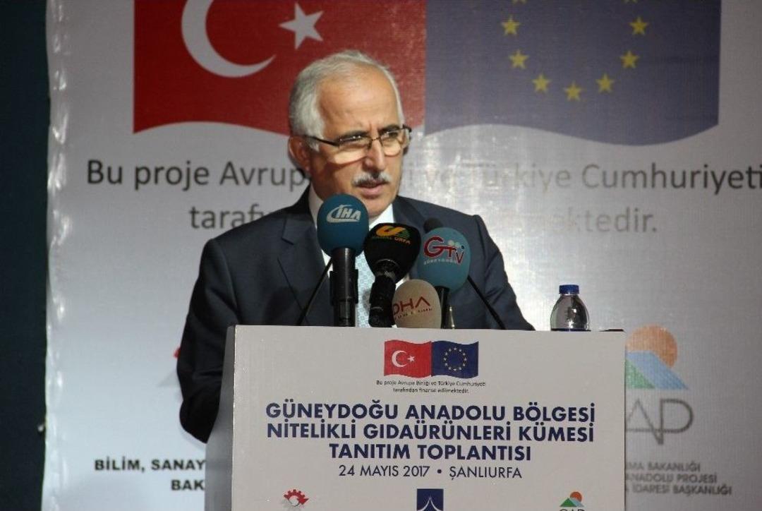 Gap B&ouml;lgesi Nitelikli Gıda &Uuml;r&uuml;nleri K&uuml;mesi Şanlıurfa Tanıtım Toplantısı