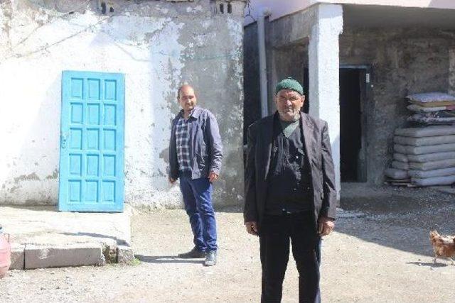 Ağrı'da Yağmurda Şehit Ailesinin Eski Evi Yıkıldı