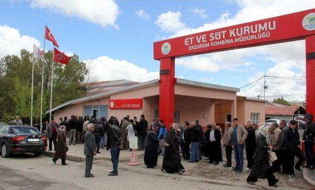 Et Ve Süt Kurumu Önünde Ucuz Et Kuyruğu