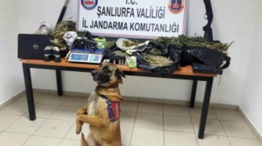 Şanlıurfa&rsquo;da Uyuşturucu Operasyonunda 1 Kişi Yakalandı