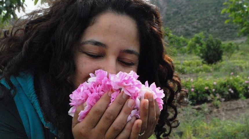 G&uuml;l &Uuml;retiminde Milyonluk Su Tasarrufu