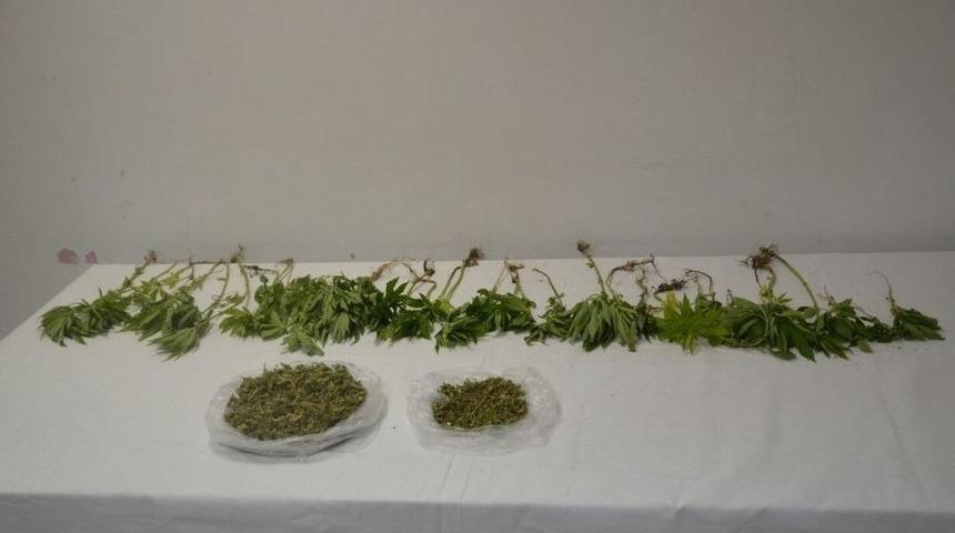 İzmir&rsquo;de Uyuşturucu Operasyonu: 1 G&ouml;zaltı