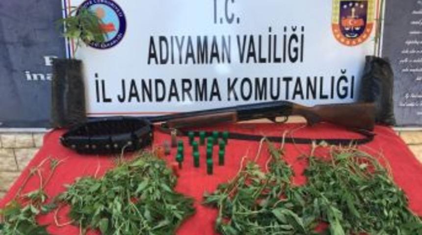 Jandarmadan Uyuşturucu Operasyonu