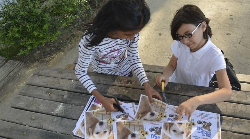 3 Kız Arkadaşın Hayvanlar İ&ccedil;in Yaptığı Afişler Takdir Topladı