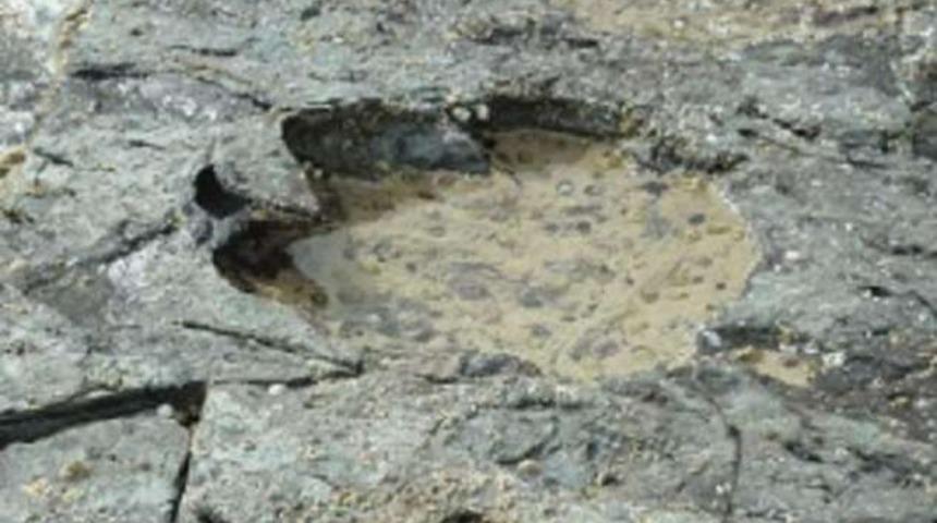 &Ccedil;in&rsquo;de 130 milyon yıllık dinozor fosili kalıntıları bulundu