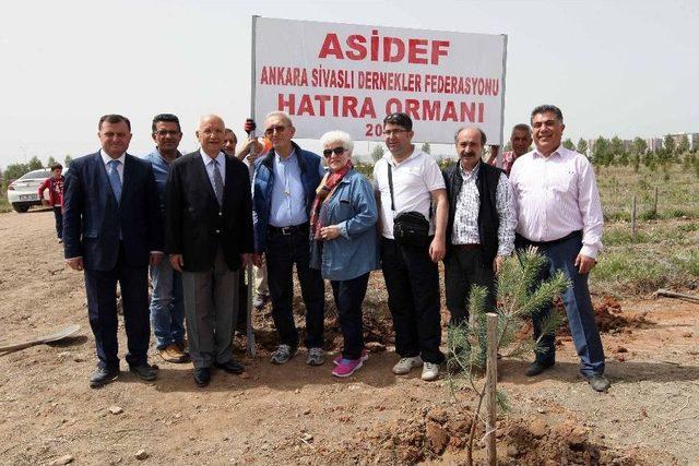 Yenimahalle Belediyesi’nden Sivaslılara Hatıra Ormanı