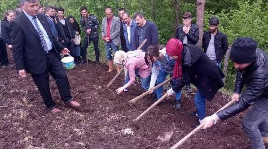 Organik Fasulyeyi 35 Liradan Ihra&ccedil; Ediyorlar