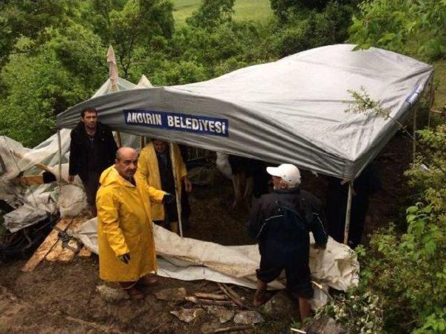 Uçuruma Yuvarlanan Ineğinin Başında 11 Gün Bekledi