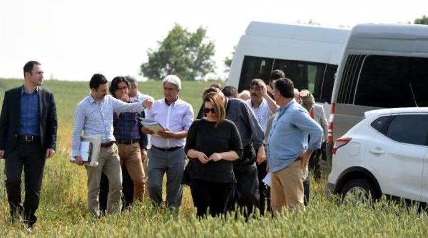 Buğday Tarlasına Dinamit Deposu Izni Mahkemelik