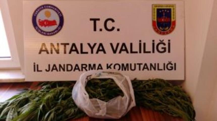 Alanya&rsquo;da Uyuşturucu Operasyonu