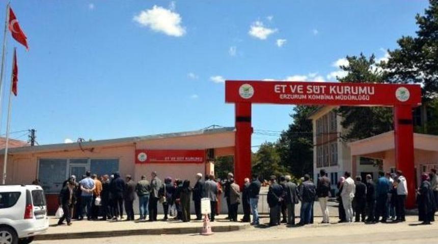 Erzurum'da Ucuz Et Kuyruğu