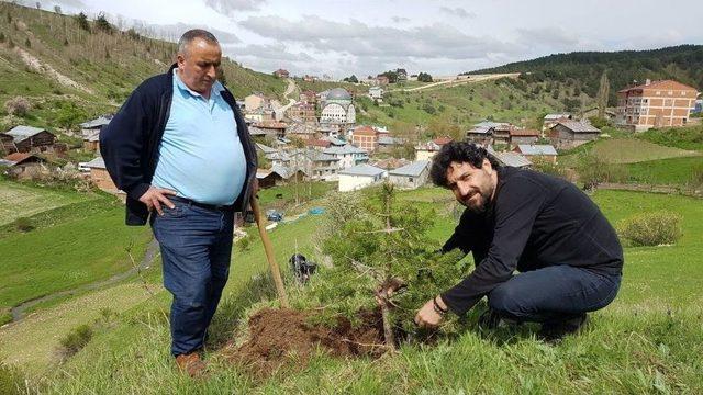 Ödül Getiren Ağaç Kesilince, Yerine Yenisini Dikti