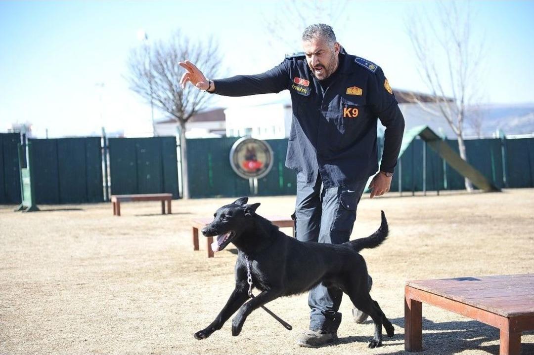 K-9 Bomba Arama K&ouml;pekleri G&ouml;reve Hazır