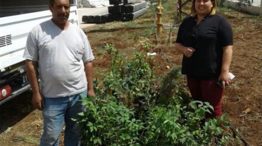 Adana Organize Sanayi B&ouml;lgesi Sanayicilere 6 Bin Fidan Dağıttı