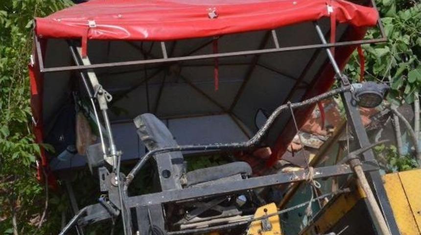 İncir Ağacı Faciayı &Ouml;nledi