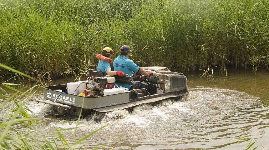 Vekt&ouml;r M&uuml;cadelesinde Yaz D&ouml;nemi Başladı