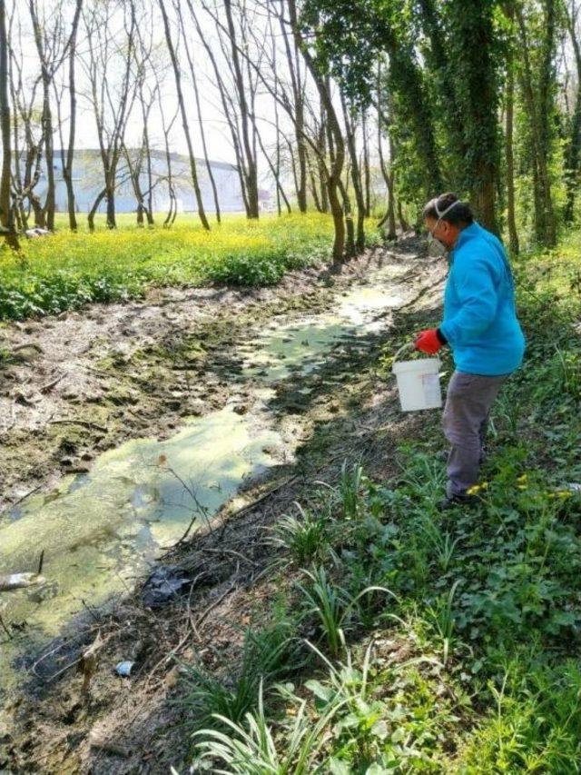 Vektör Mücadelesinde Yaz Dönemi Başladı