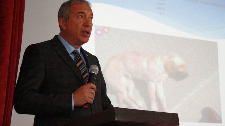 Tokat&rsquo;ta Hayvan Kazaları İ&ccedil;in Farkındalık Semineri