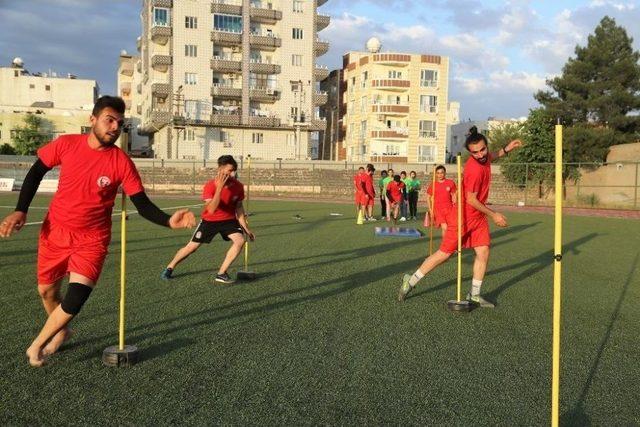 Cizre Belediyesi Gençleri Geleceğe Hazırlıyor