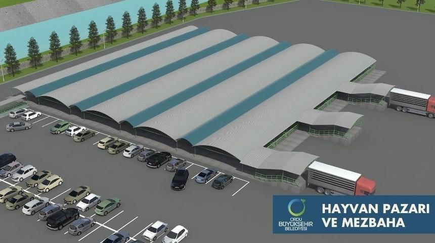 Fatsa&rsquo;ya Yapılacak Mezbaha B&ouml;lgenin En B&uuml;y&uuml;ğ&uuml; Olacak