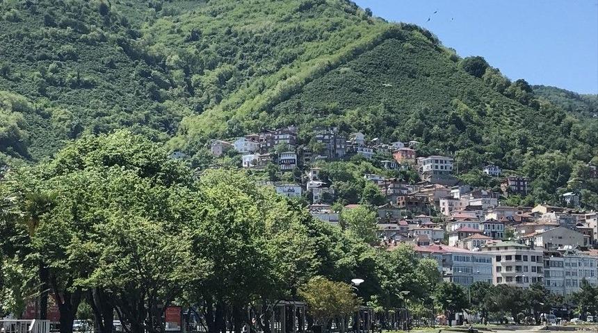 Ordu&rsquo;da &Ccedil;ılgın Proje