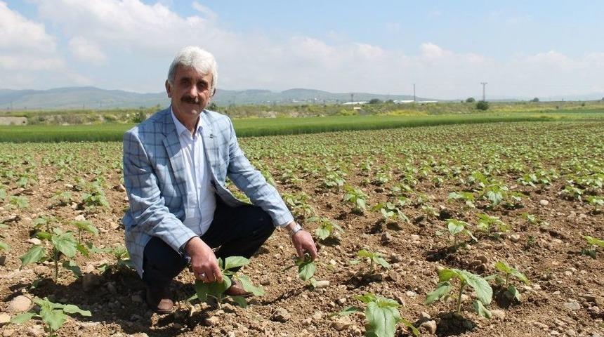 Yenişehir’de 400 Bin Dekar Alan Suya Kavuşuyor