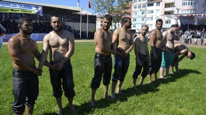 Alaplı&rsquo;da Yağlı G&uuml;reş Heyecanı