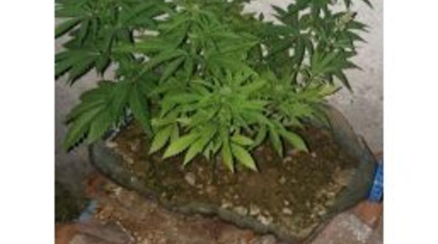 Balıkesir&rsquo;de Uyuşturucu Operasyonu