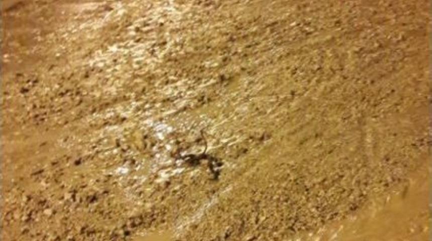 Başkent&rsquo;te Taşan Derenin Suları Hayatı Fel&ccedil; Etti