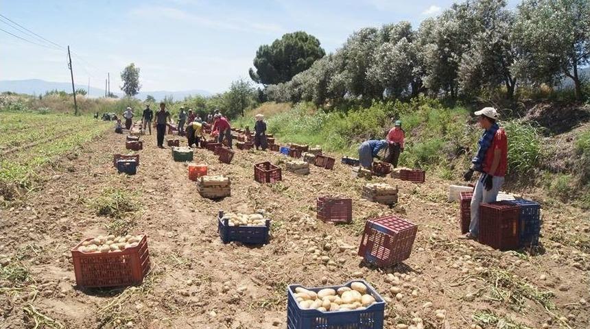 Patates &Ccedil;ift&ccedil;inin Y&uuml;z&uuml;n&uuml; G&uuml;ld&uuml;recek