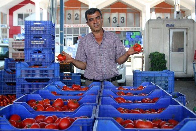 Rusya Kapısı Açılmazsa Domatesler Salça Olacak