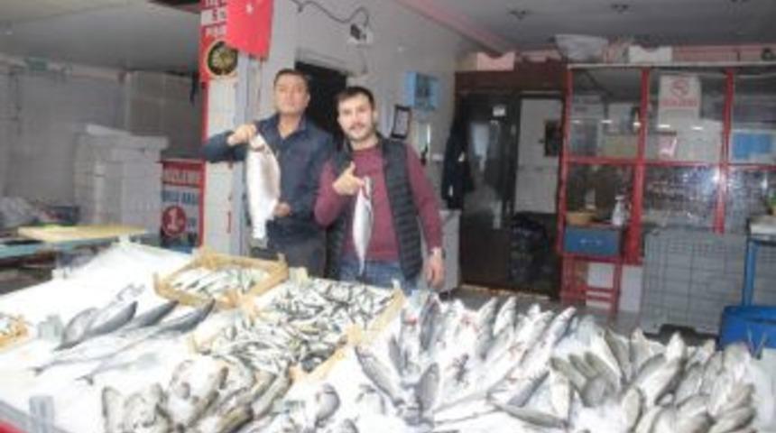 Ramazan &Ouml;ncesi Balık &Ccedil;eşitliliği