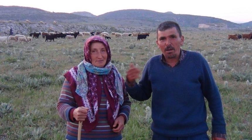 Tavşanlı&rsquo;da Koyunların Telef Olduğu İddiası