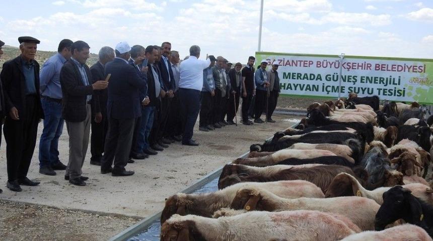 B&uuml;y&uuml;kşehir&rsquo;den G&uuml;neş Enerjili İ&ccedil;me Suyu