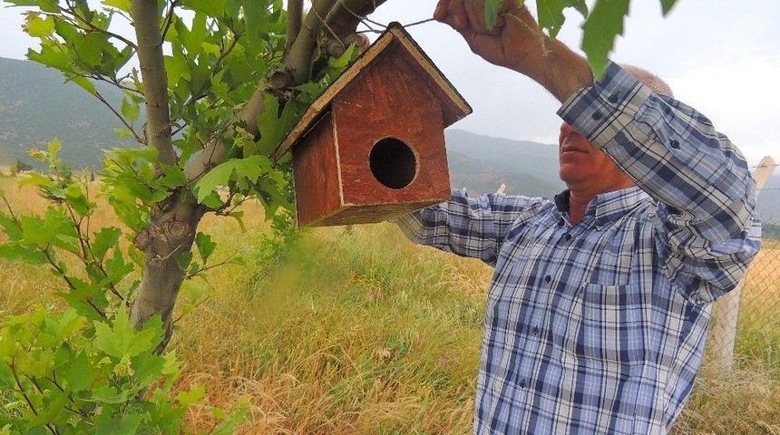 Y&uuml;ksekokul &Ouml;ğrencilerinden Kuşlar İ&ccedil;in Yuva