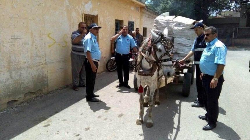Kilis Belediyesi Zabıta M&uuml;d&uuml;rl&uuml;ğ&uuml; &Ccedil;alışmaları S&uuml;r&uuml;yor