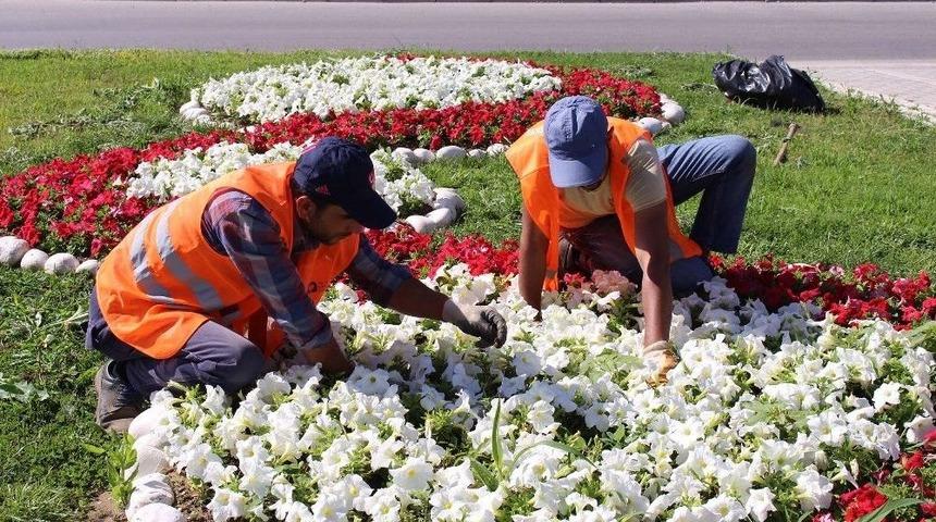 Manavgat&rsquo;ta 186 Bin Mevsimlik &Ccedil;i&ccedil;ek