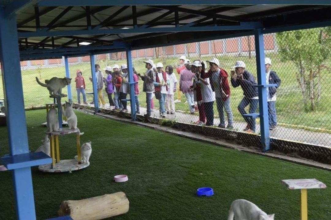 &lsquo;lider &Ccedil;ocuk Tarım Kampı&rsquo; Tamamlandı