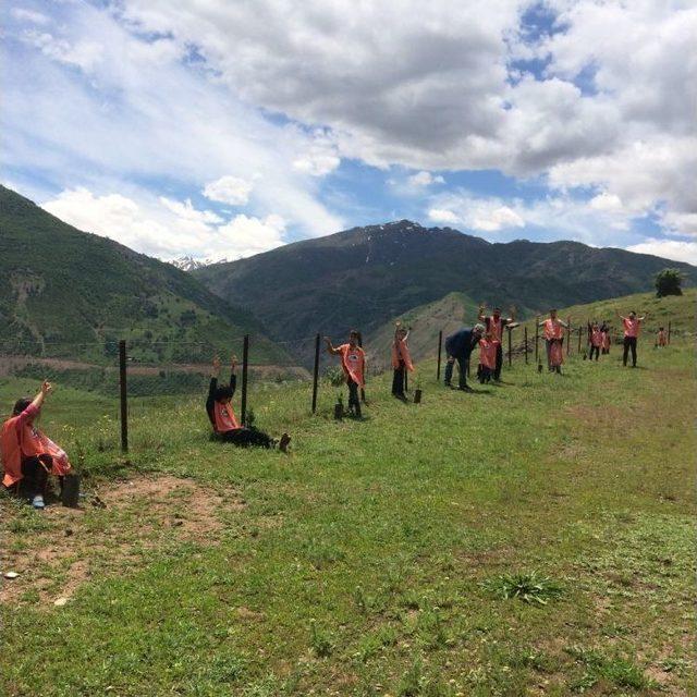 Öğrenciler Fidan Dikip, Okuma Etkinliğine Katıldı