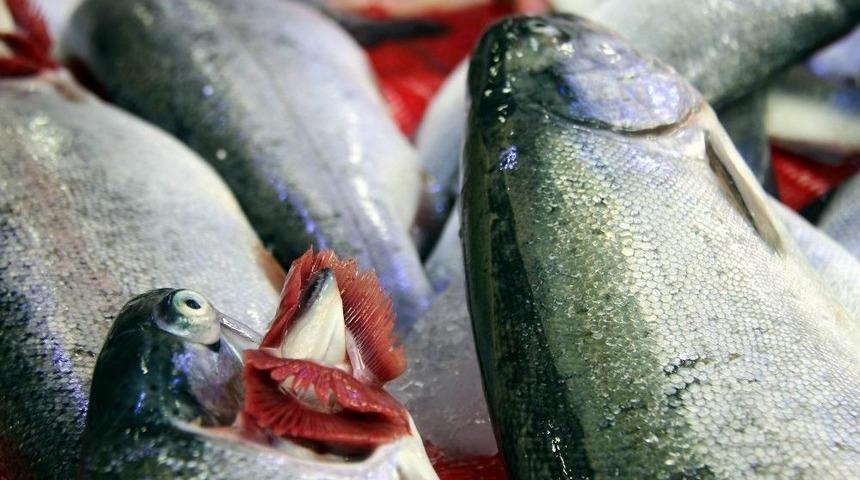 Balık&ccedil;ılar Ramazan&rsquo;dan Umutlu