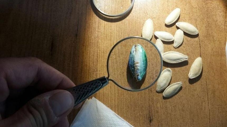 Mikro Art İle Hayata Bakış